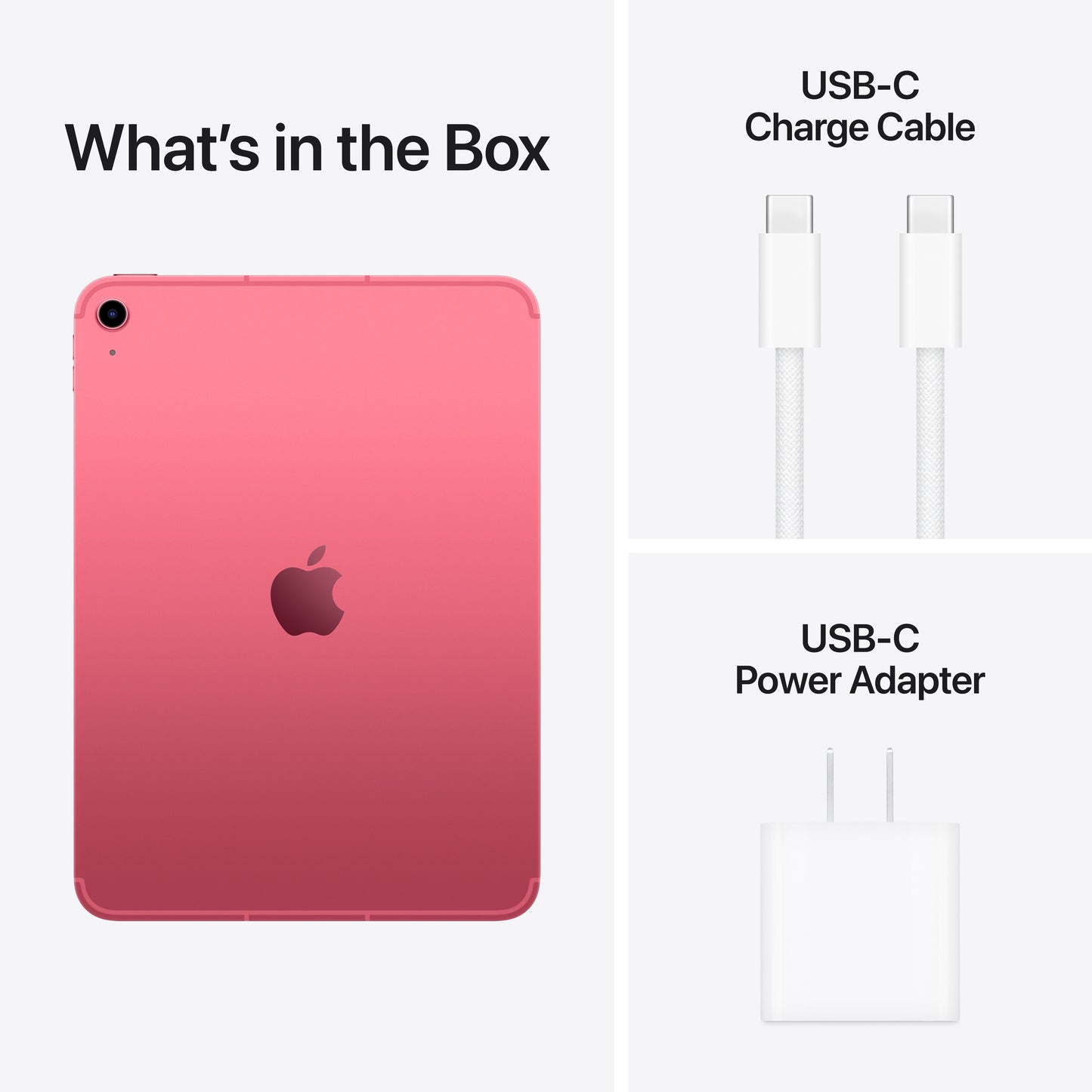 iPad Wi-Fi + Cellular 256GB - Pink (A16)
