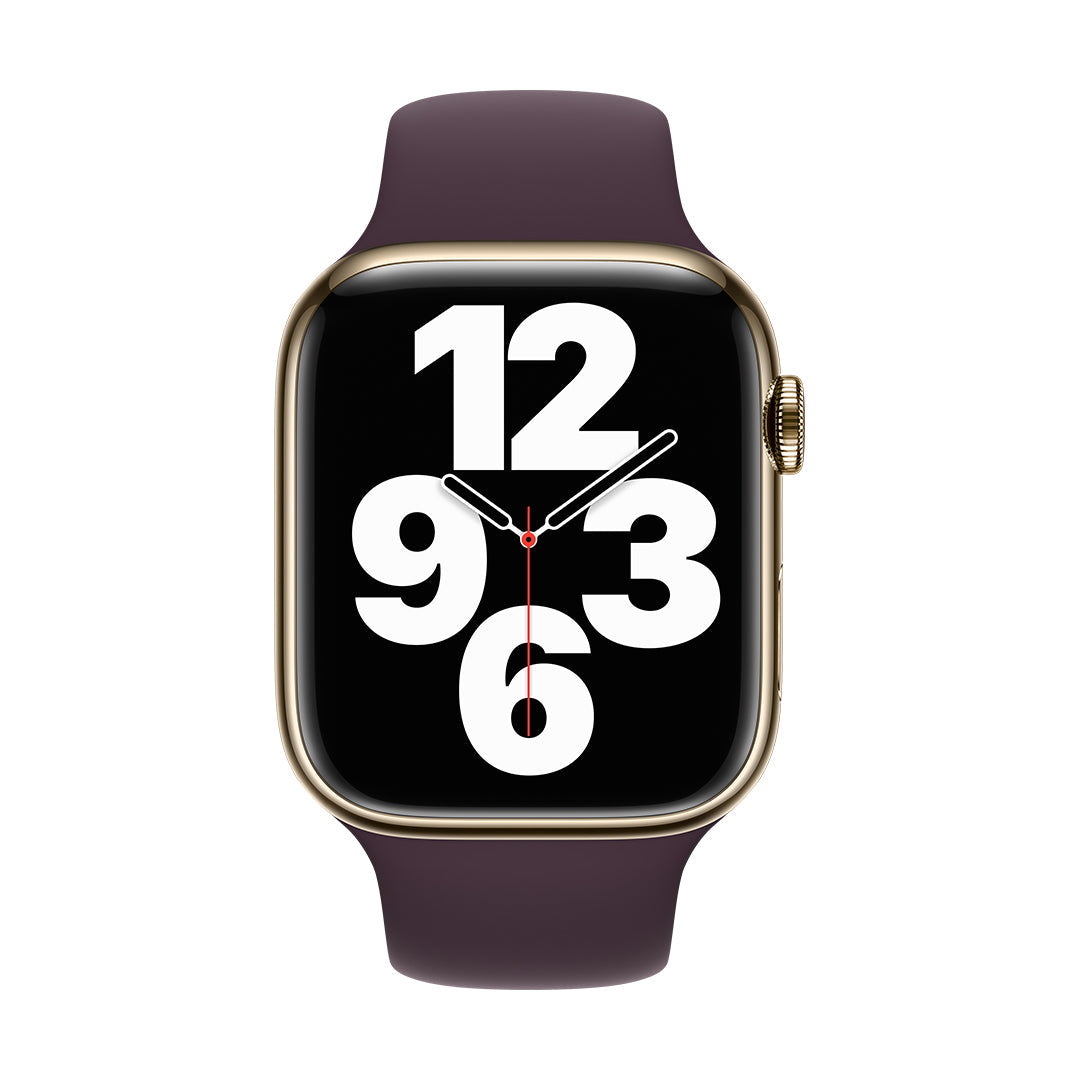 Apple Watch Series 7 GPS + Cellular Stainless Steel Case with Sport Band